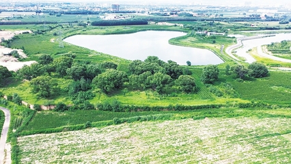 治理提標提質 筑牢全方位高質量發(fā)展生態(tài)屏障